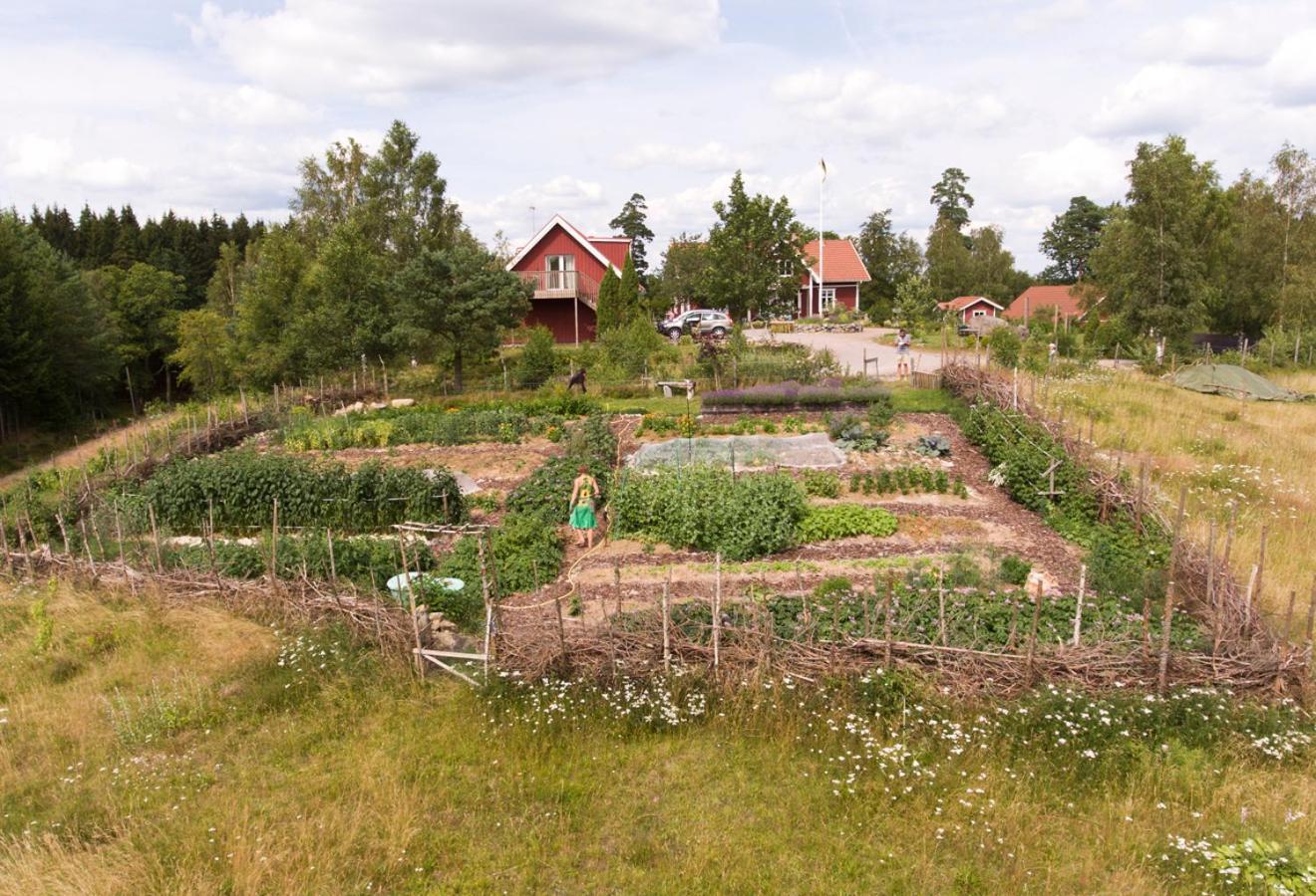 לינה וארוחת בוקר Simlångsdalen Escape To Paulssonpaleo מראה חיצוני תמונה