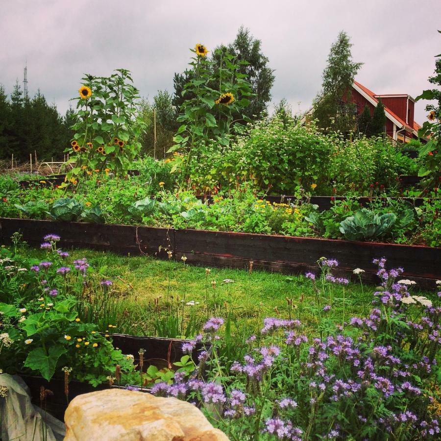 לינה וארוחת בוקר Simlångsdalen Escape To Paulssonpaleo מראה חיצוני תמונה