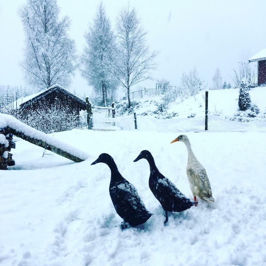 לינה וארוחת בוקר Simlångsdalen Escape To Paulssonpaleo מראה חיצוני תמונה