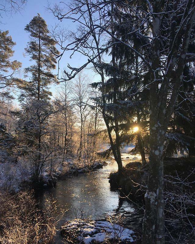לינה וארוחת בוקר Simlångsdalen Escape To Paulssonpaleo מראה חיצוני תמונה